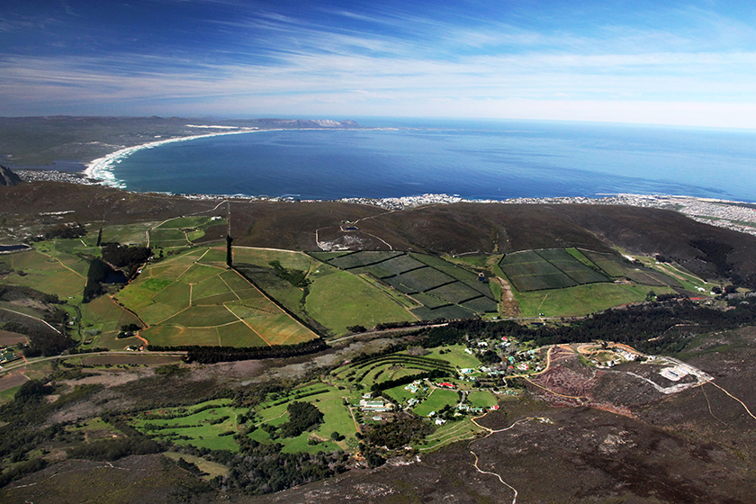 Vackra vingårdar hos Hamilton Russell Vineyards, Sydafrika