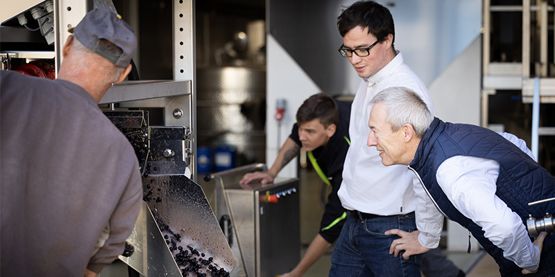 Familjen Leth inspekterar vindruvorna