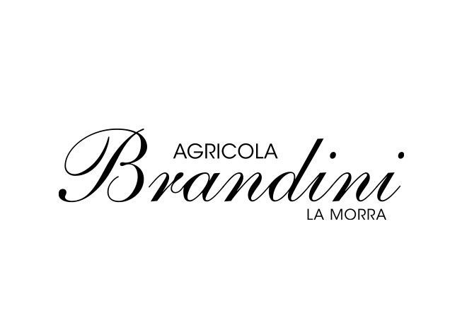Brandini Logo